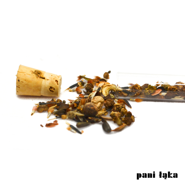 Łąka w fiolce Fundacja Łąka panilaka.pl