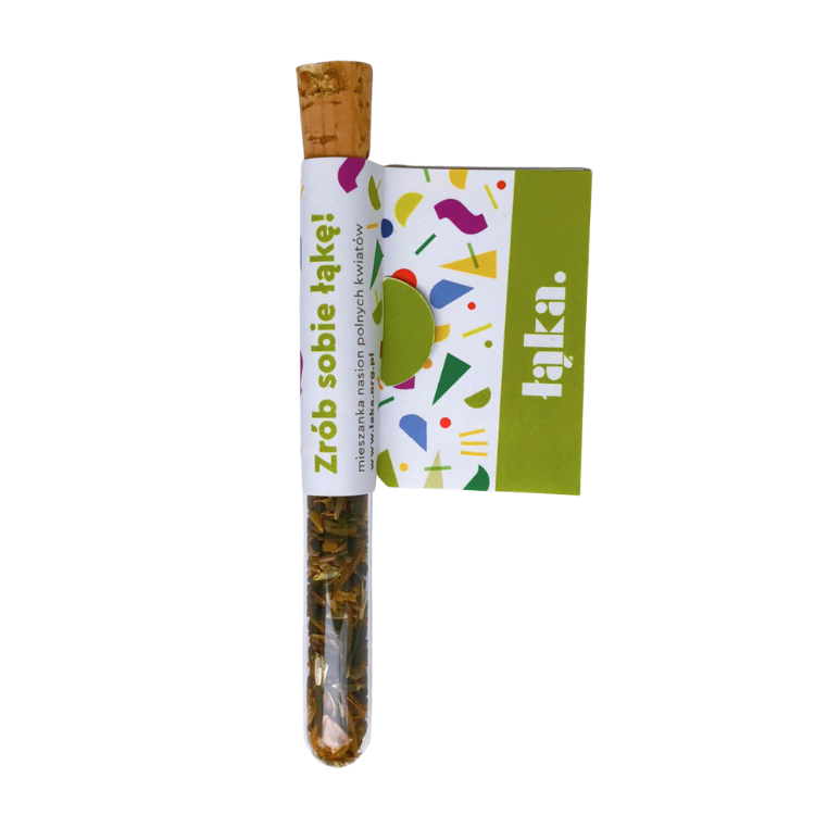 Łąka kwietna w fiolce Fundacja Łąka panilaka.pl